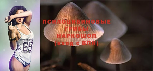 винт Баксан