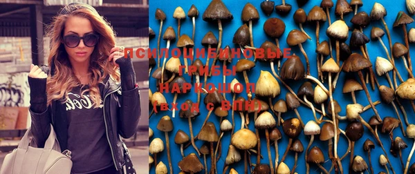 крисы Балахна